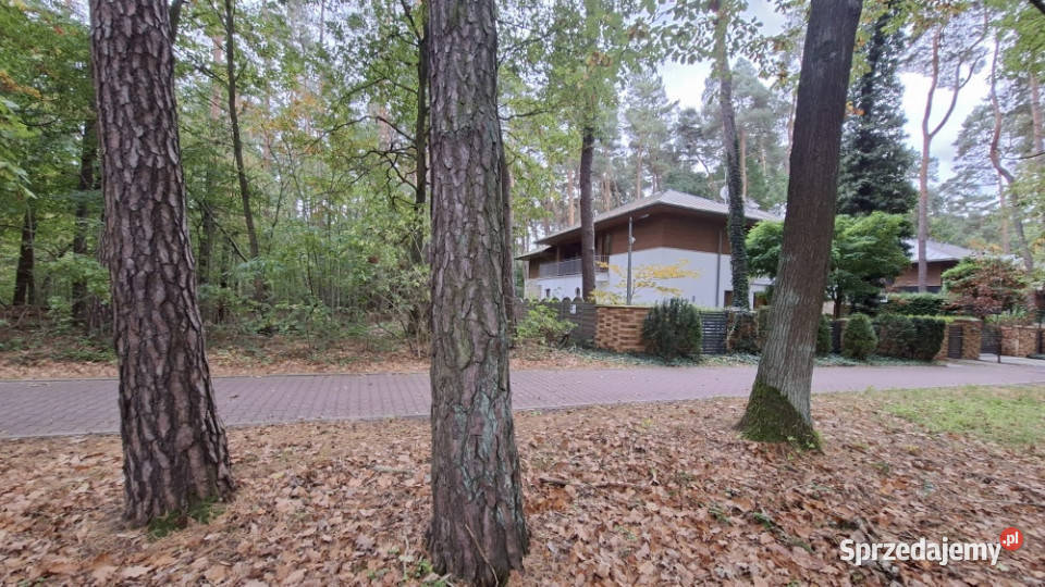 Magdalenka 1897 m willach Sosnowy Park asfalt asfalt