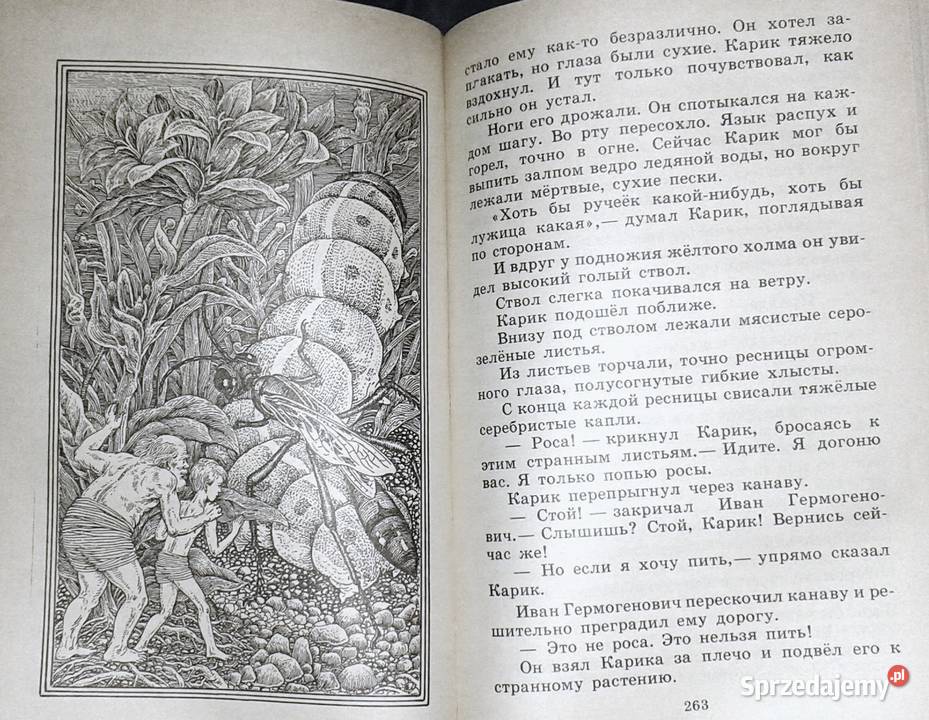 Niezwykłe przygody Karika i Valiego Jan Larri Chełm