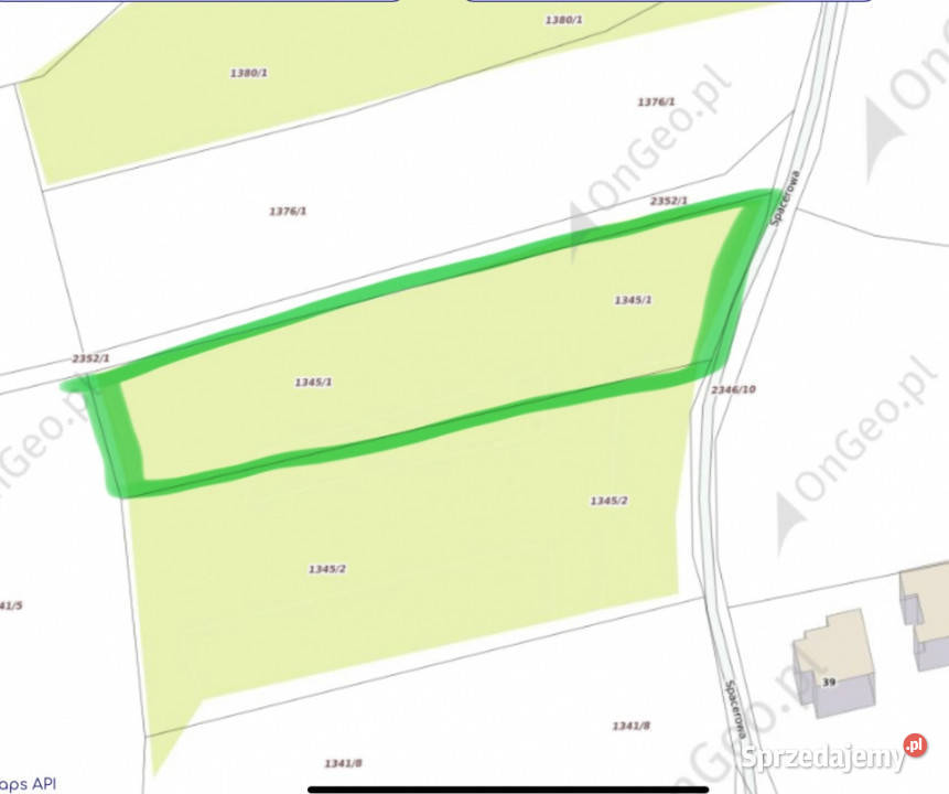 Marcyporęba budowlana 28 ar