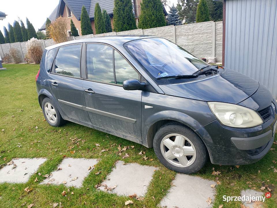 Renault scenic Końskie