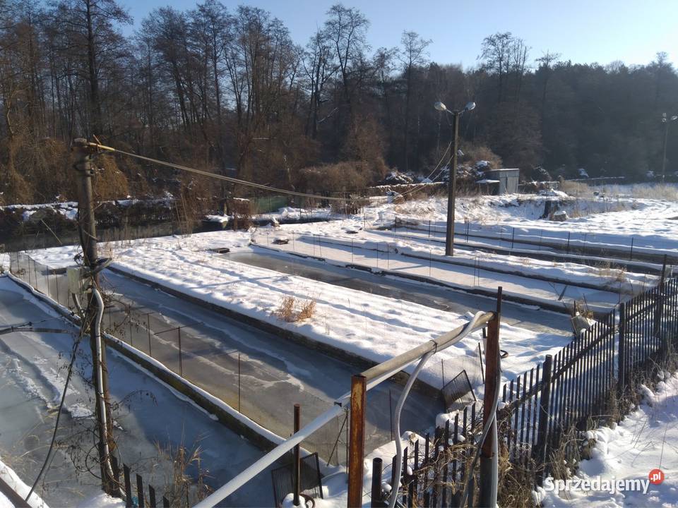 Stawy hodowlane rybne las działka 542 ha Działka Krężnica Jara sprzedam