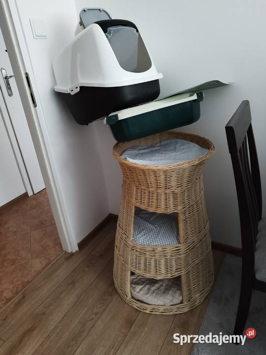 Wyposażenie kota zachodniopomorskie