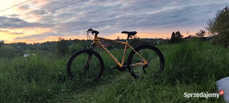 Kross Hexagon X2 SERWISIE