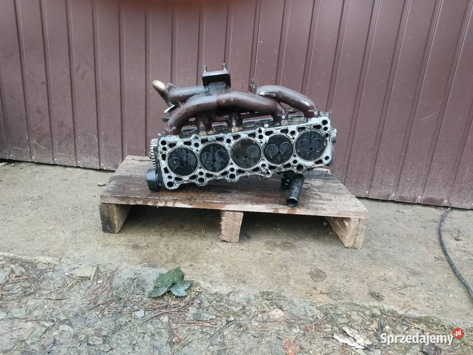 Głowica VW T4 25 TDI 102kw Rzepedź