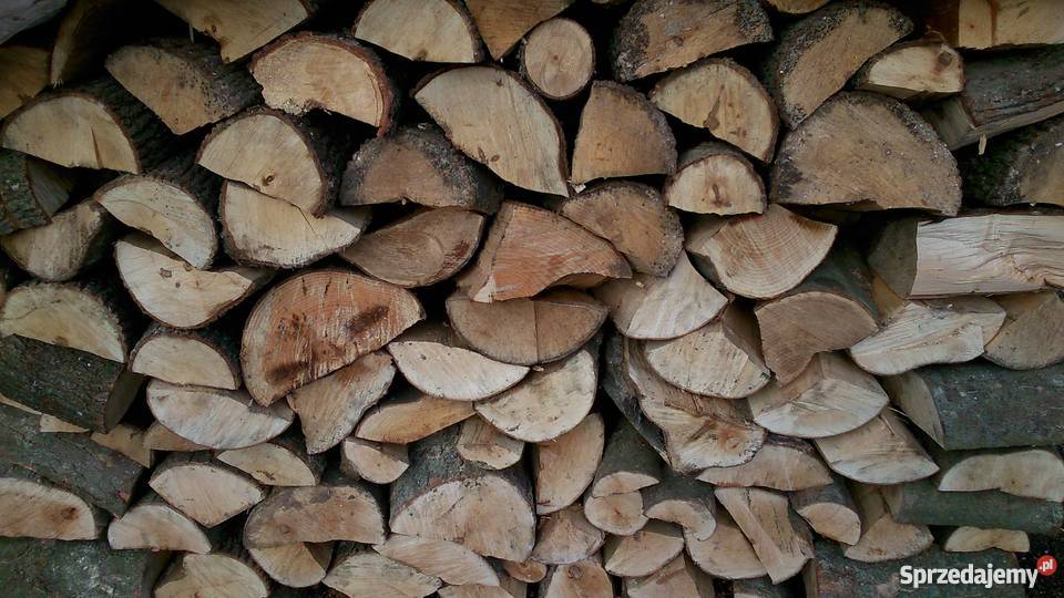 Drewno kominkowe pomorskie Skarszewy