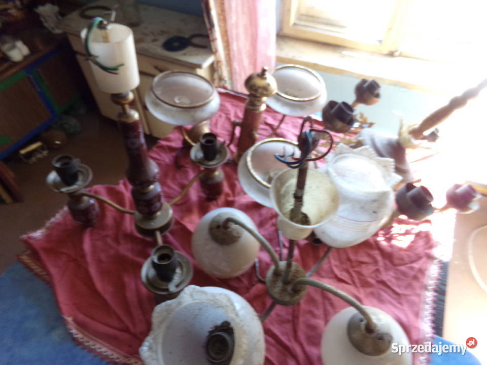 hełm i poroża Pozostałe dolnośląskie Ziębice