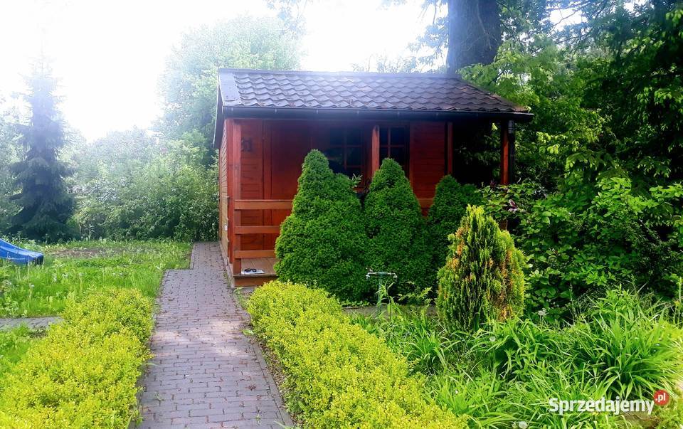 Działka ROD Widzew Zakładowa 420m Zadbana prąd Łódź