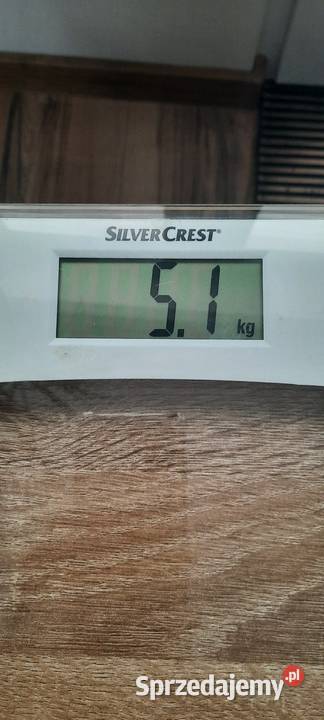 Waga łazienkowa SilverCrest lubelskie Lublin