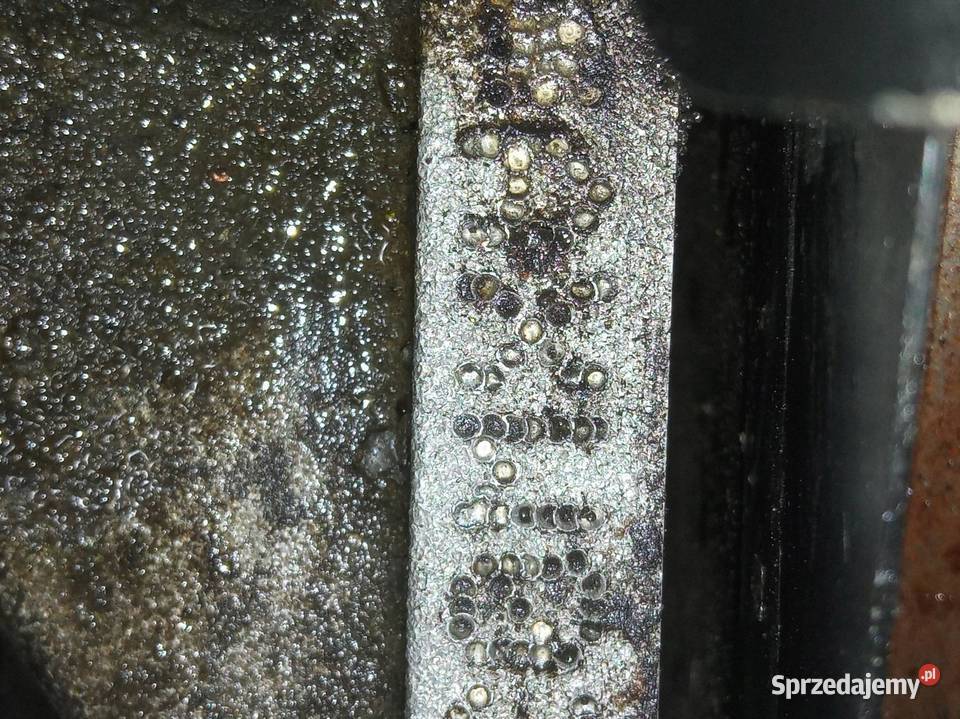 SILNIK KOMPLETNY BENZYNA AXW 20 FSI Audi A3 II osobowe