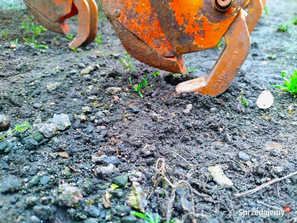 Siewnik Amazone D830 Special ŚCIEŻKI Wola Bachorna