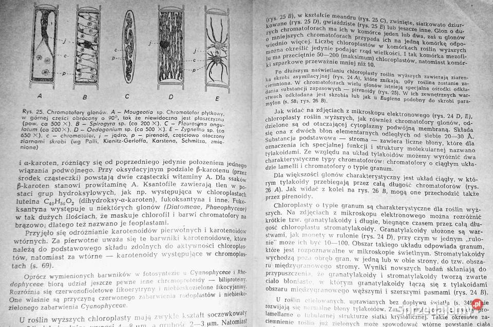 Botanika ogólna Wilhelm Nultsch lubelskie Chełm