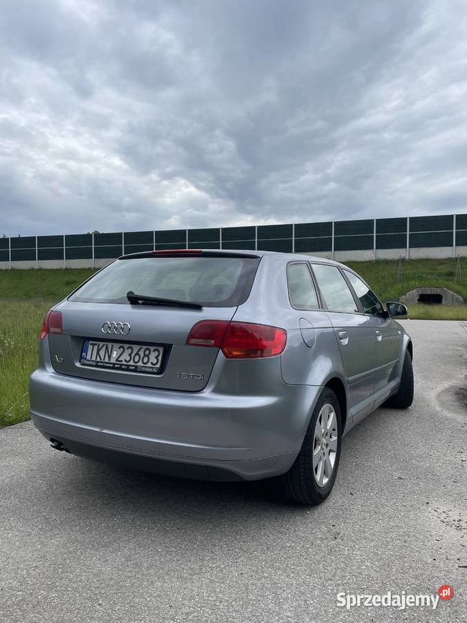 Audi A3 8P 19 TDI 105 Łętowice