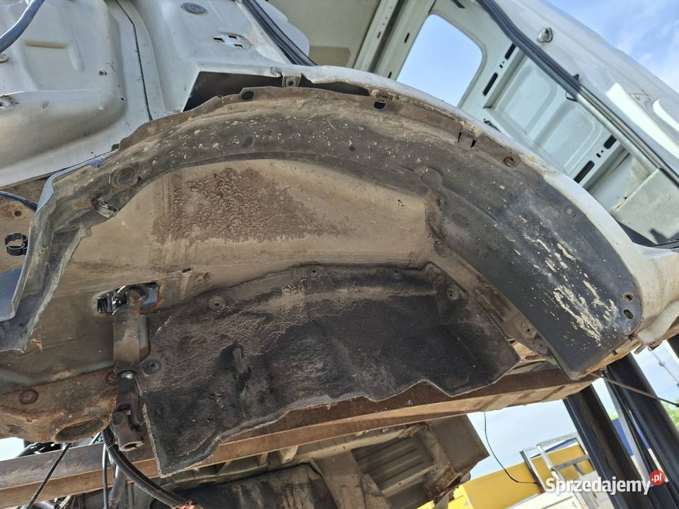 Nadkole Renault macott lewe świętokrzyskie Bieliny
