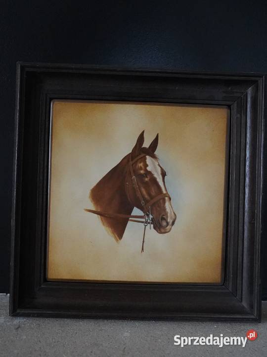 Obrazy vintage retro sztuka na sprzedaż podlaskie Białystok