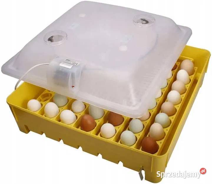 Inkubator pół-automat iKar na 56 jaj + zbiornik na wodę