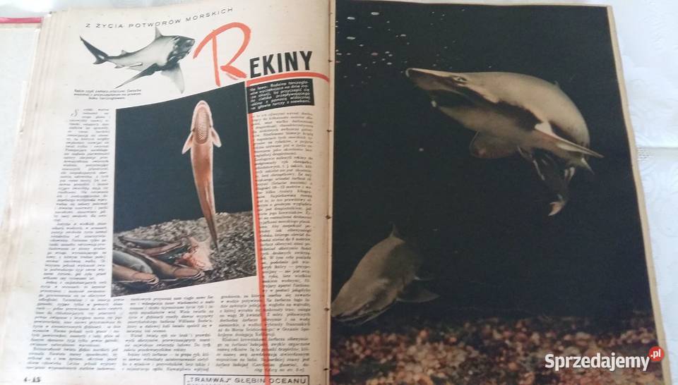 AS Ilustrowany magazyn tygodniowy rocznik 1938 Czasopisma Łódź