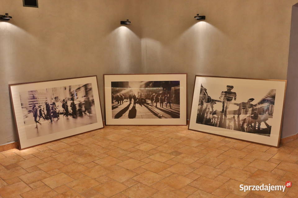 Komplet pięknych fotografii w metalowych ramach Pszczyna