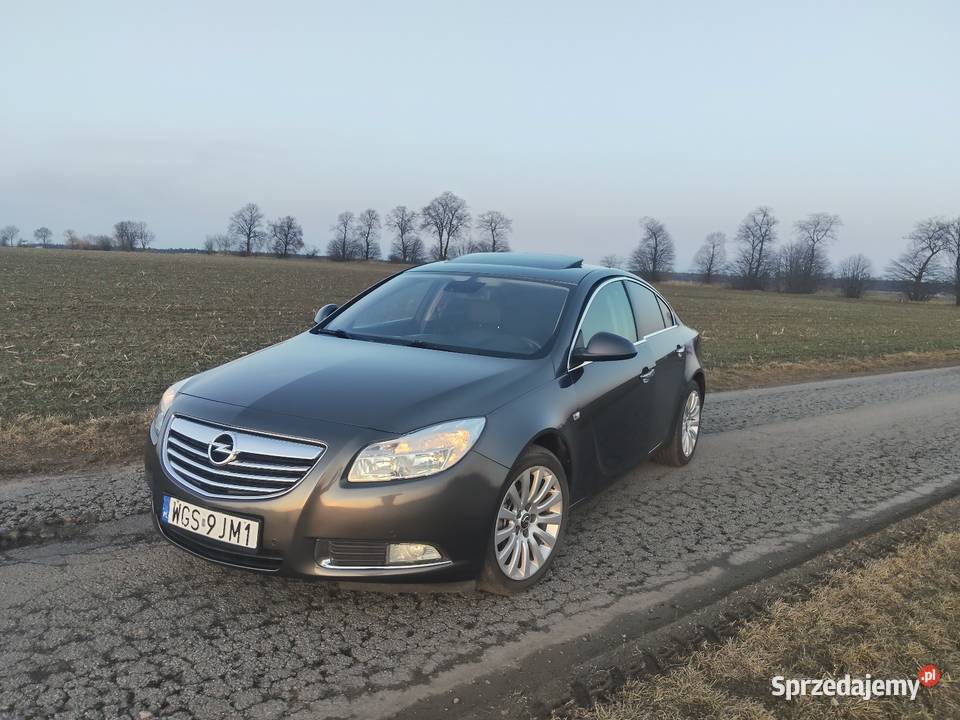 Sprzedam Opel Insignia A Gostynin