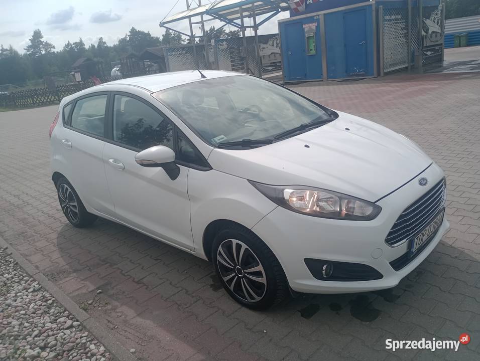 Ford Fiesta MK 7 Van Żuromin