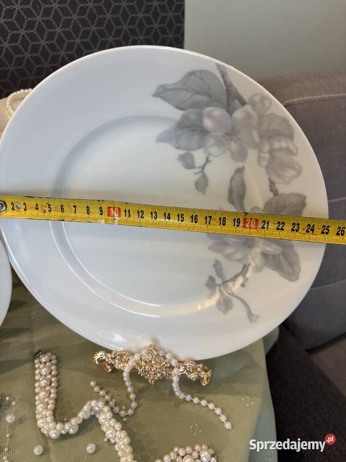 Talerze Rosenthal Sędziejowice