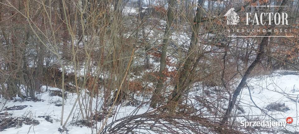 Siary działka budowlanoleśna 21a 1168S2026 małopolskie