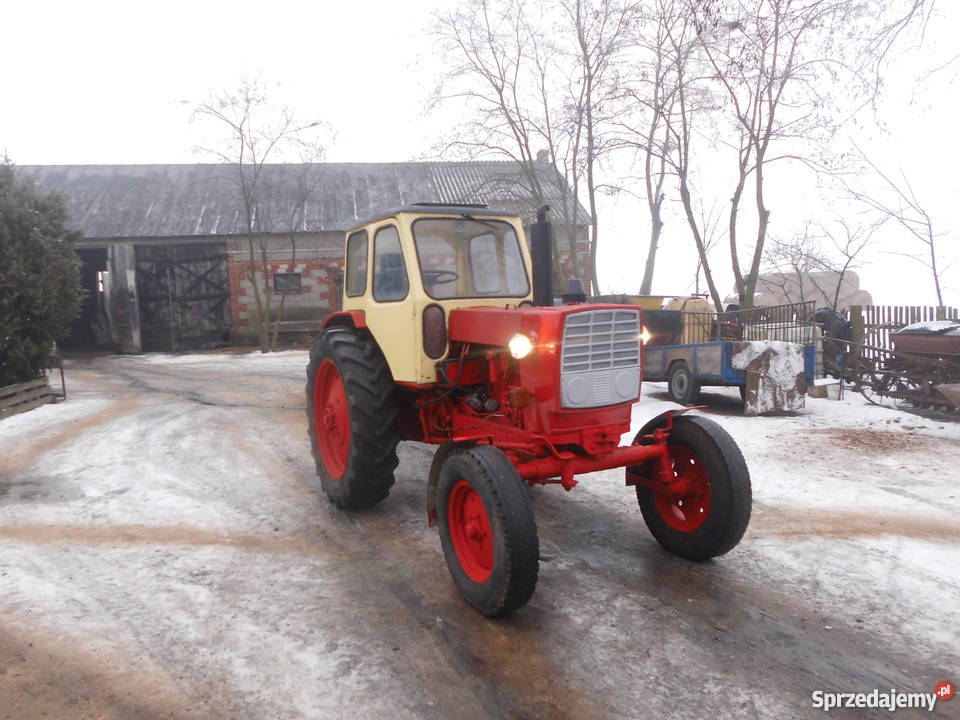 sprzedam Jumz Białoruś Bodzanów