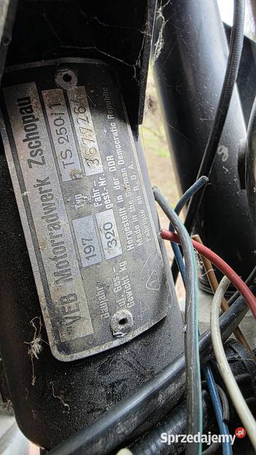 Mz ts 250 mz silnik orginal dostawa motocykl mz Rok produkcji 1970 podkarpackie Padew Narodowa