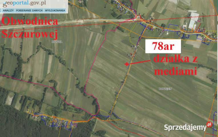 Grunt Borzęcin 7800m2 17m