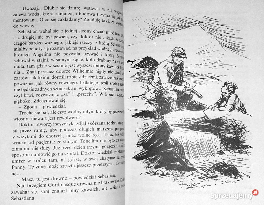 Bella i Sebastian Ccile Aubry Chełm sprzedam