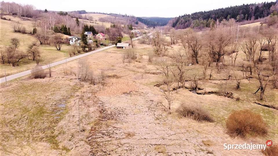 85ha koło Ustrzyk Dolnych 11 działek 8000ar Ustrzyki Dolne