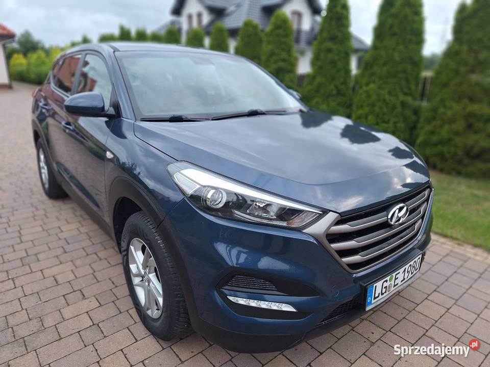 Tucson 16GDI BluDrrive Classic 2WD Serwisowany Opoczno