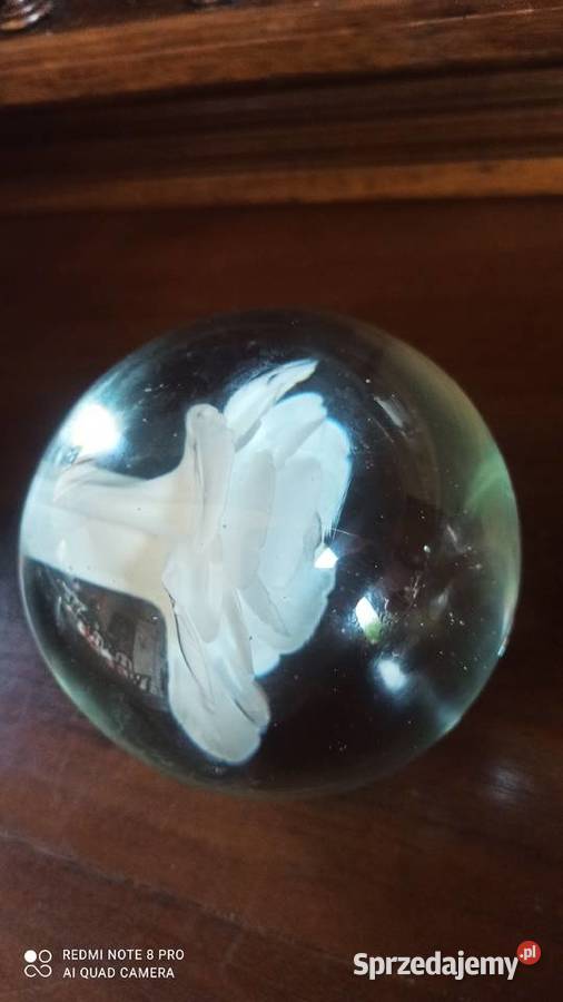 Kula szklana z białą różą przycisk na biurko Gdańsk