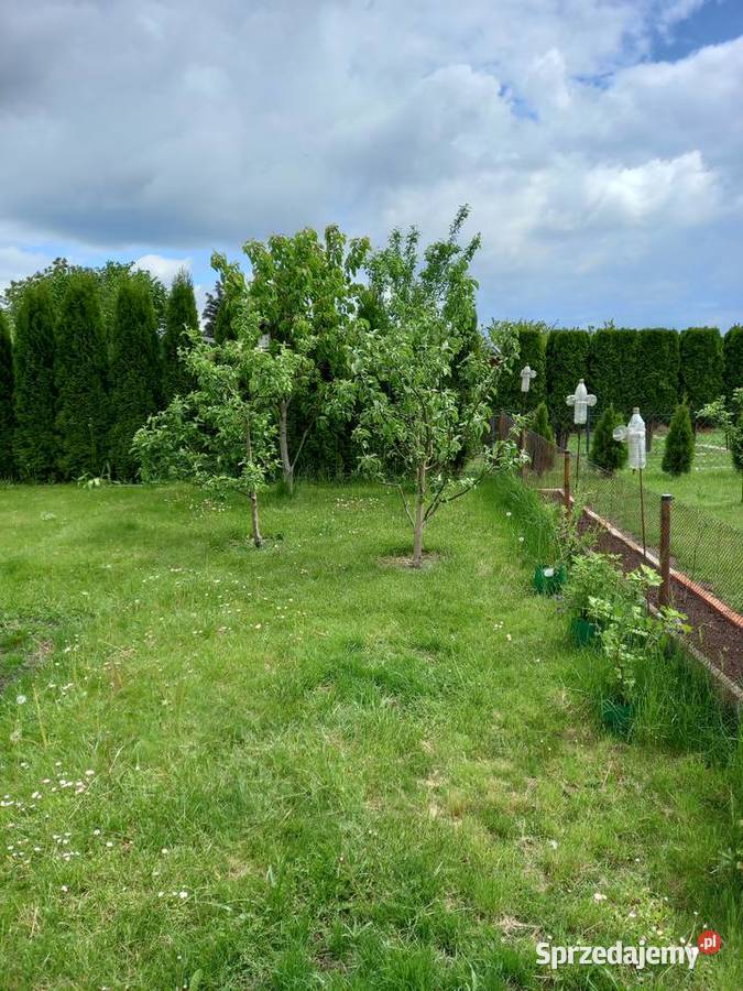 Działka ROD sprzedam Bełchatów