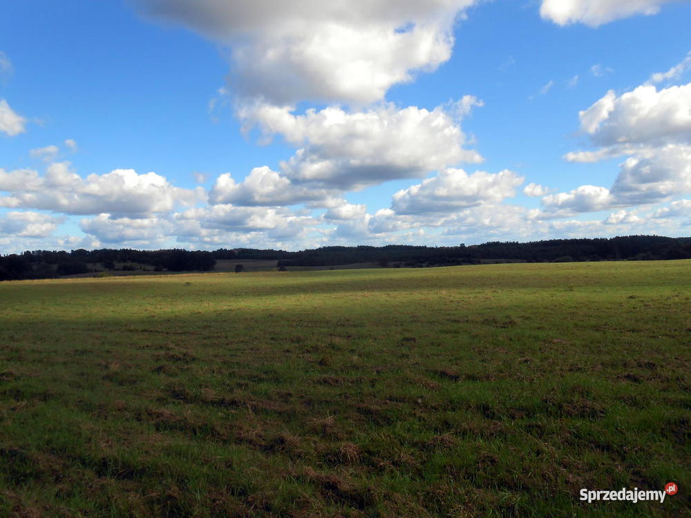 Na 36 hektarów Działki rolnobudowlane las Gm Dęb