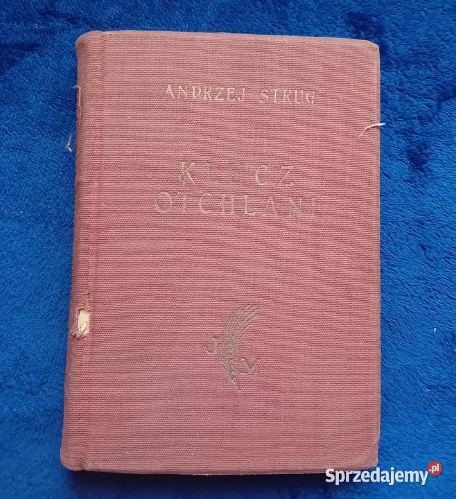 Andrzej Strug Klucz otchłani Wydawnictwo J wielkopolskie Koźminek
