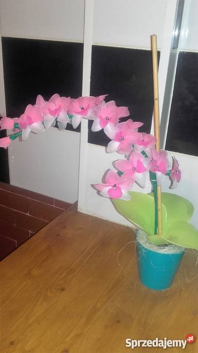 storczyki z rajstop opolskie Nysa sprzedam