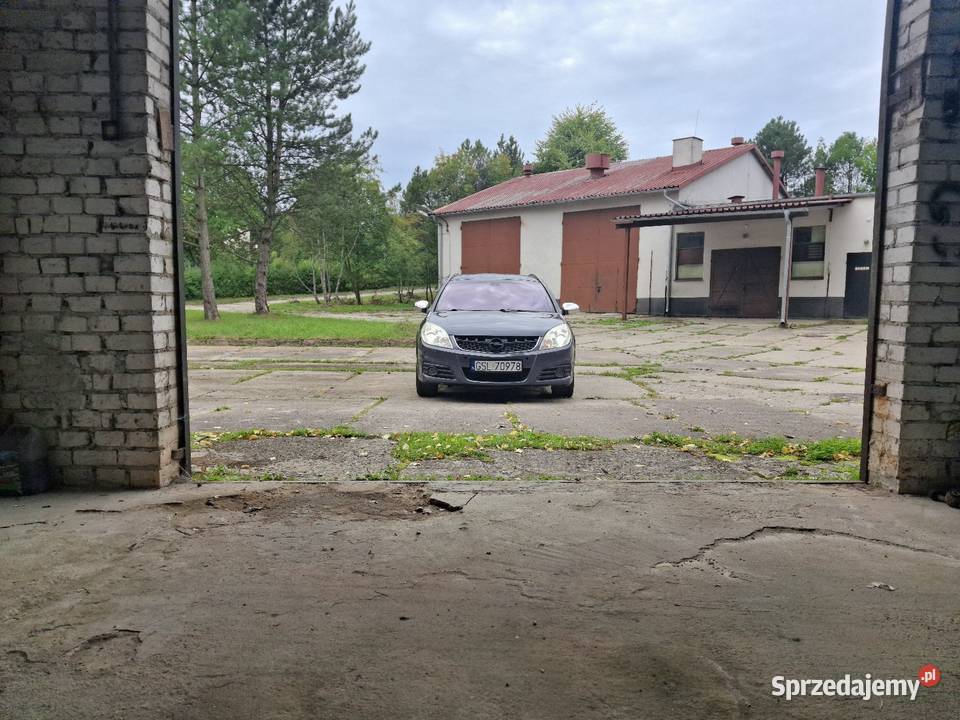 Opel Vectra C 19 cdti 150 Damnica