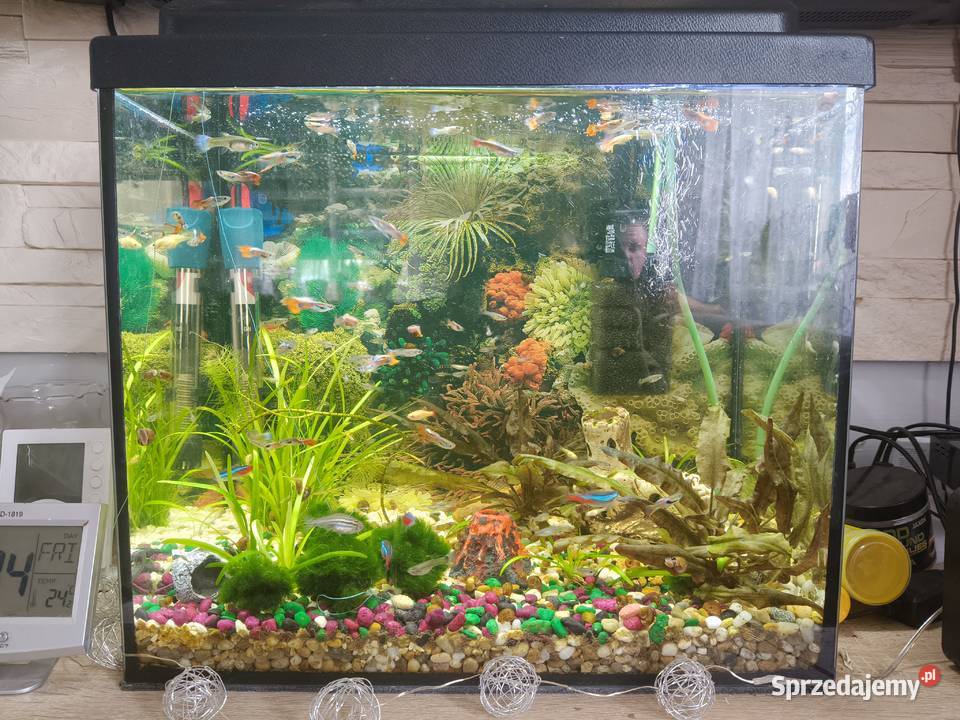Akwarium 30 litrów Wożuczyn