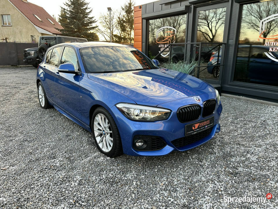 BMW 118 Bezwypadek Serwis ASO Bydgoszcz