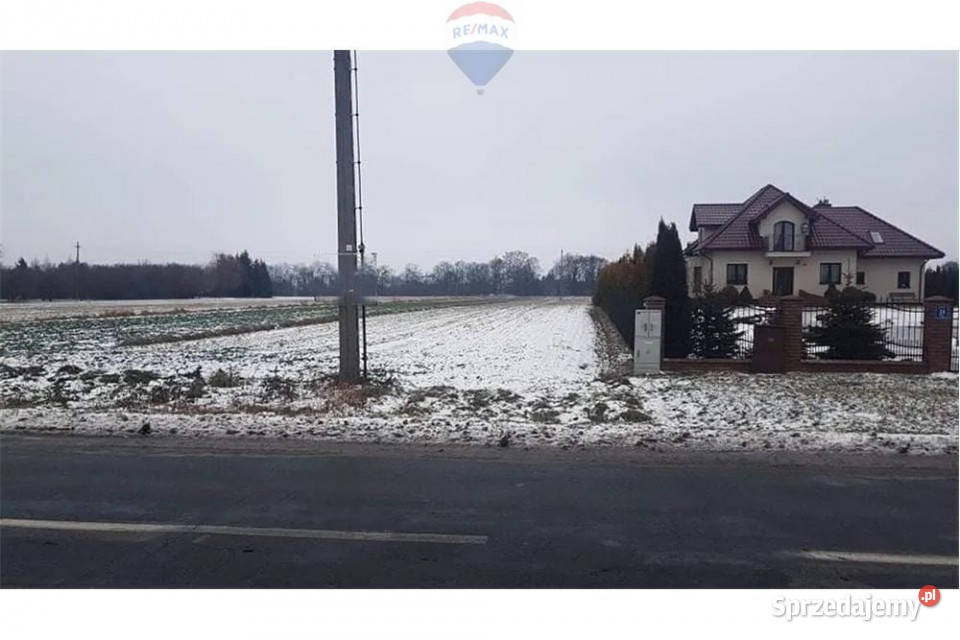 Działka budowlana i las Łęczna