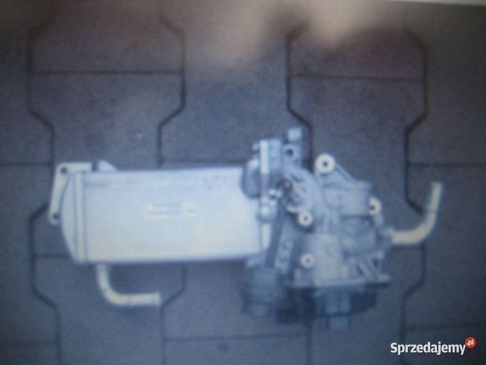 VW T5 LIFT T6 CHŁODNICA EGR 03L131512CC V100 osobowe Rakoniewice