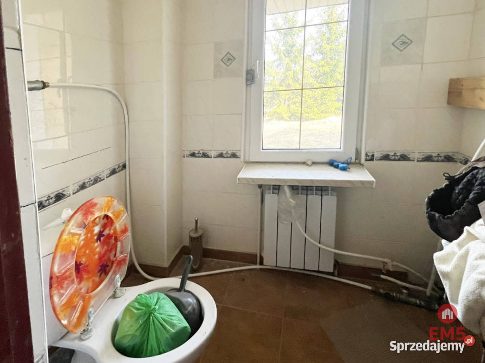 sprzedaży domu wolnostojącego 3000m2 Nowe wolnostojący podlaskie Nowe Aleksandrowo