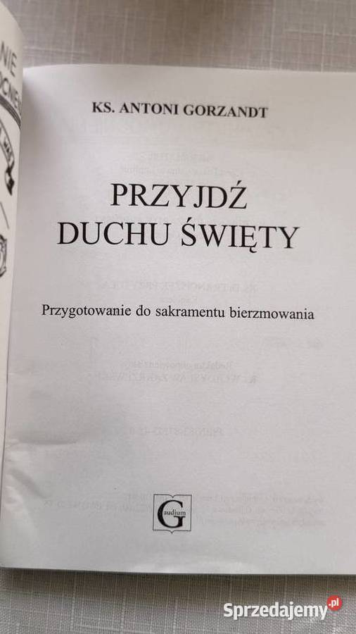 Niepokalana z LourdesMatka Boza z FatimyPrzyjdz Lublin