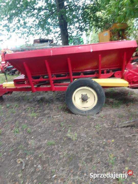 Rozsiewacz lubelskie Bzowiec