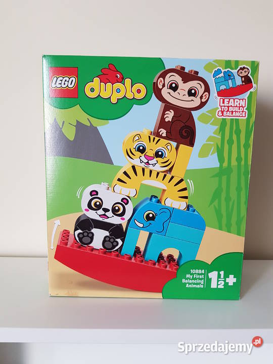 duplo 10884