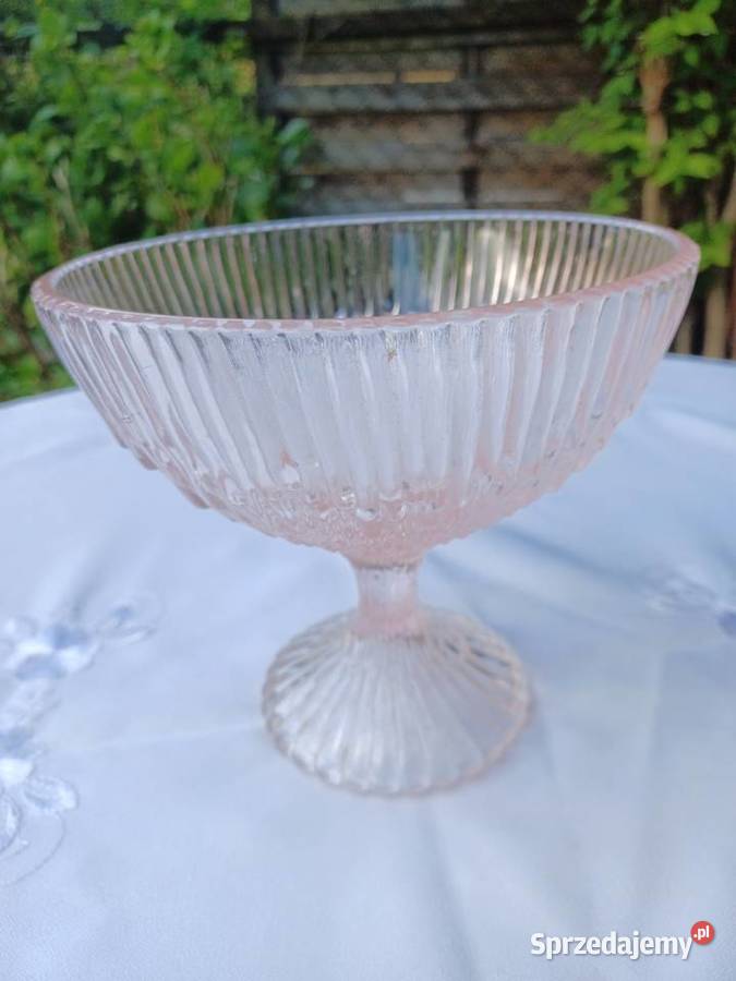 Owocarka Meduzą rozalinowa wielkopolskie Poznań