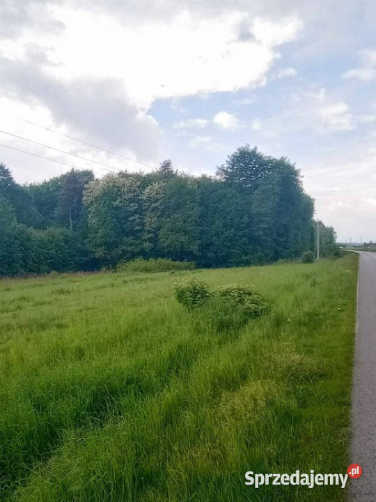 Grodzisko Dolne Działka pod lasem 4720 ar z WZ sprzedam