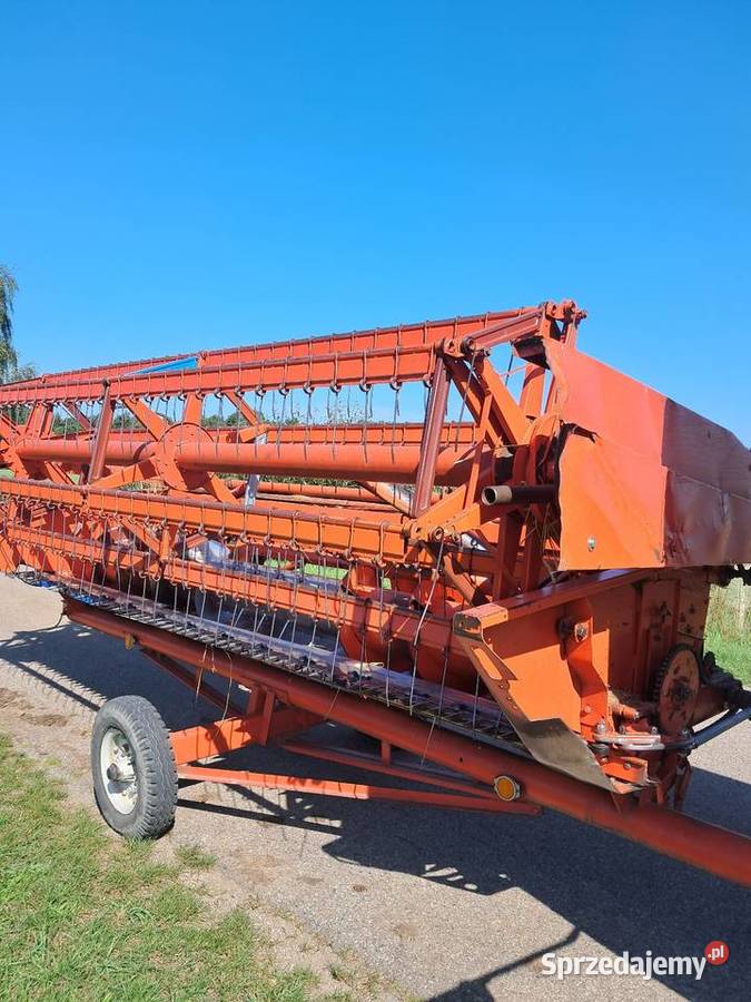 Bizon z056 Janów Podlaski