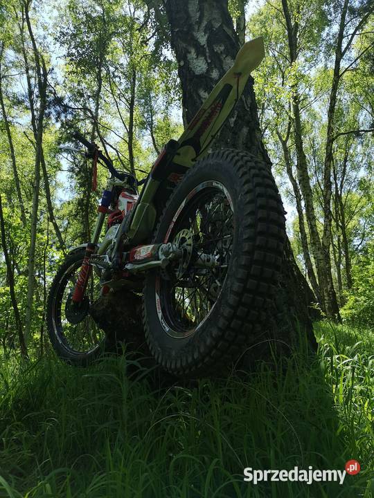 beta evo trial 125250300 evo trial factory Motoryzacja Piekary Śląskie