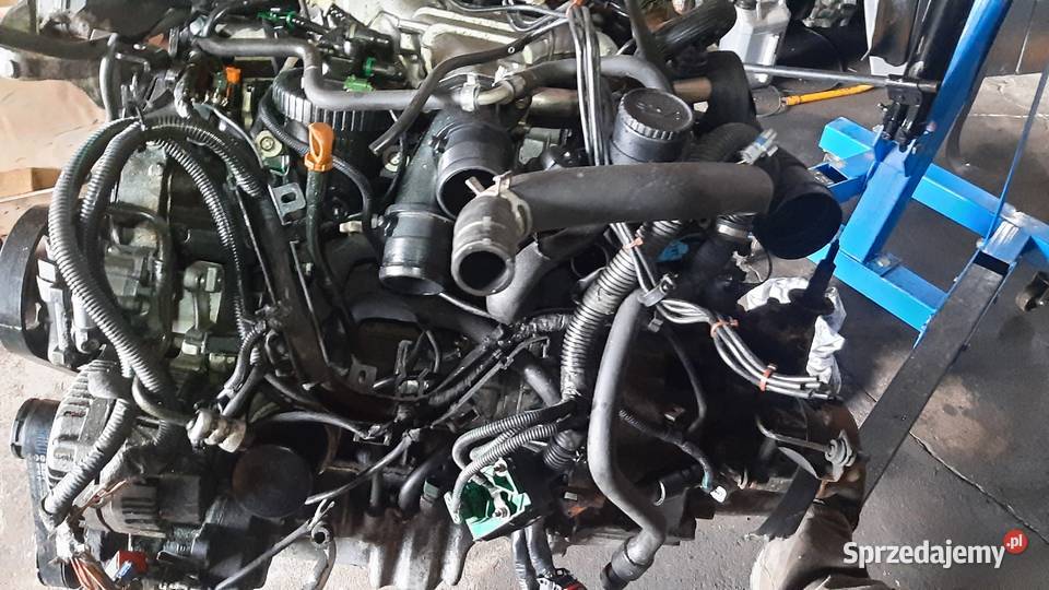 silnik kompletny 22 JTD HDI Fiat ulysse 232 4HW Korzeńsko